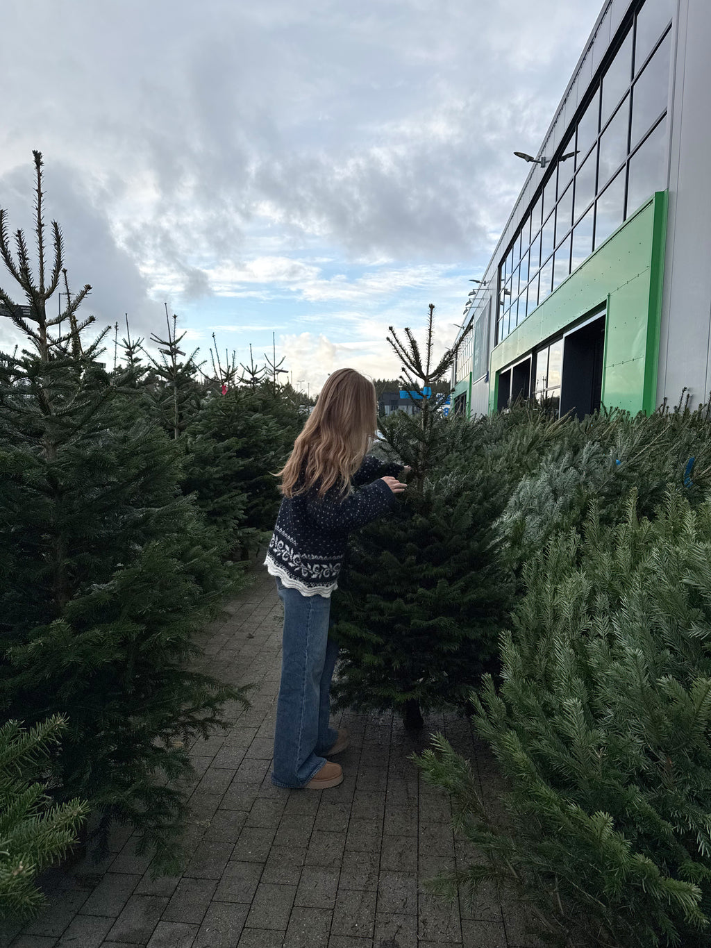 Frej Sweater Garnpakke