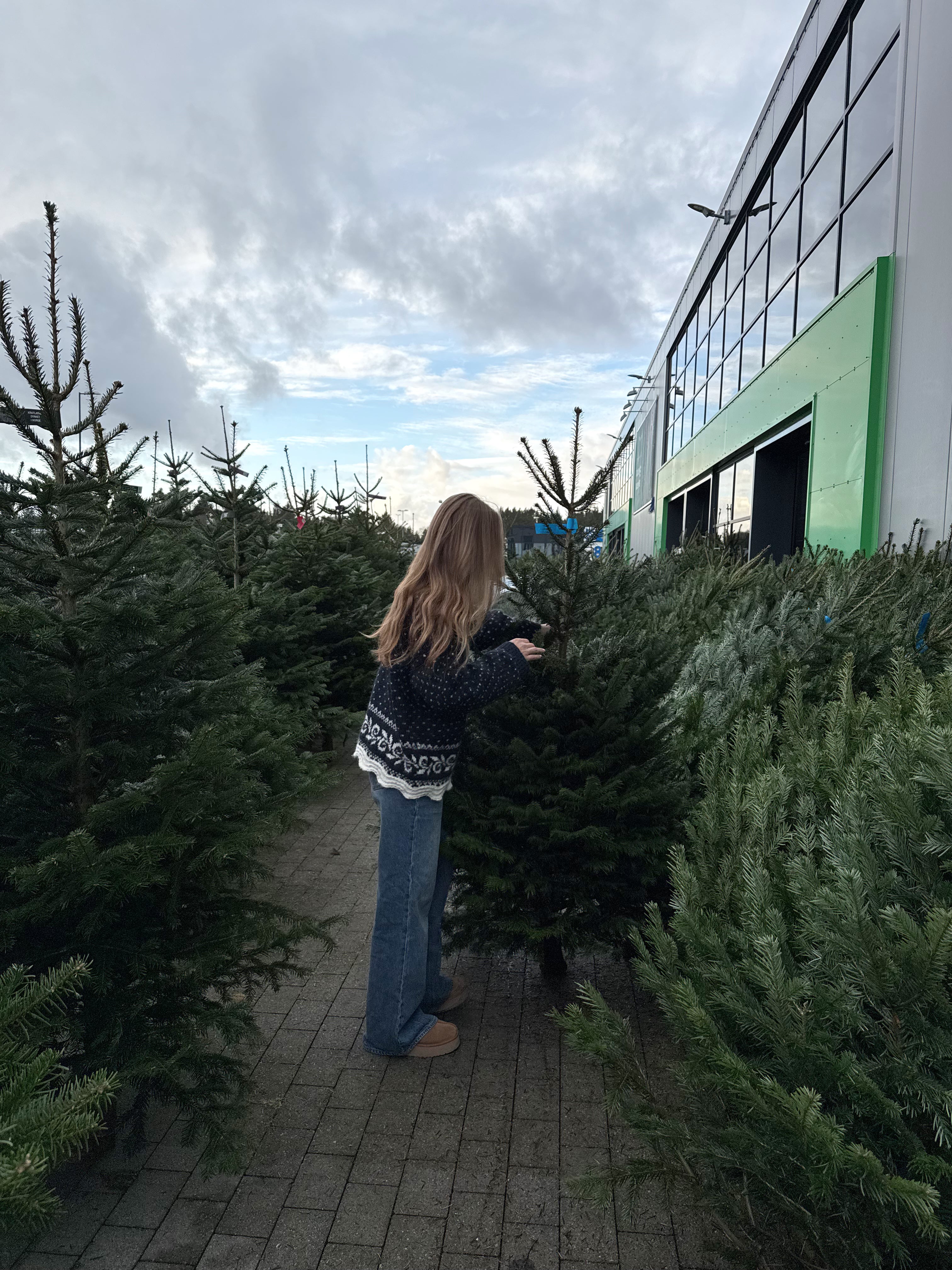 Frej Sweater Garnpakke