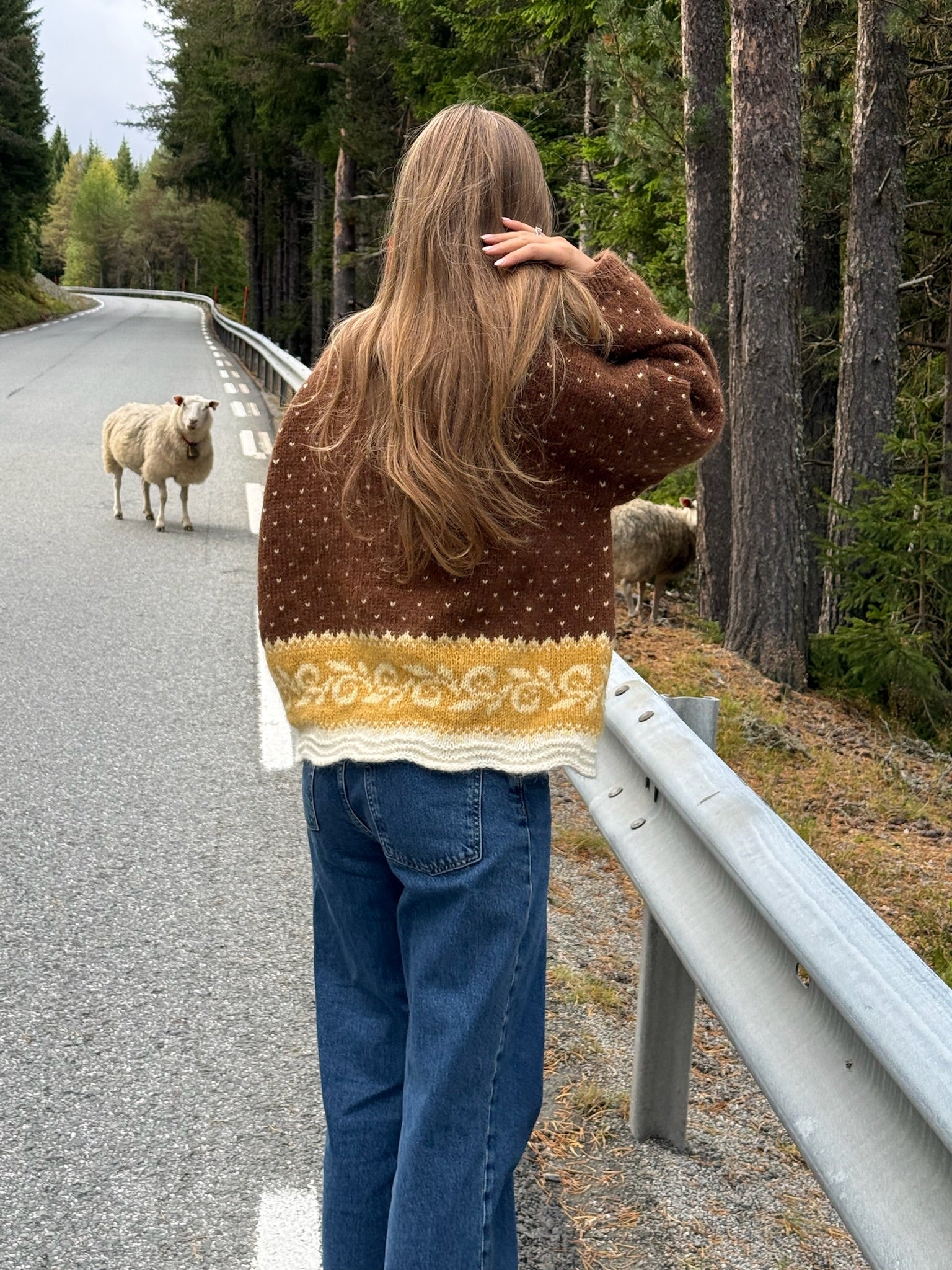 Frej Sweater Garnpakke 4 farger